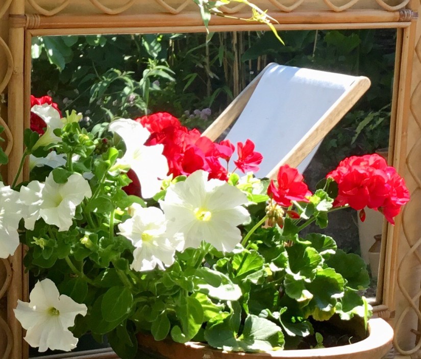 6D5C335C-2EF0-426E-806C-7BB525B45796